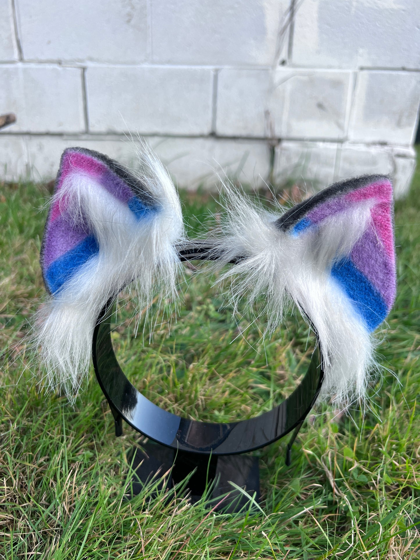 LGBTQ Bi Pride Kitten Ears