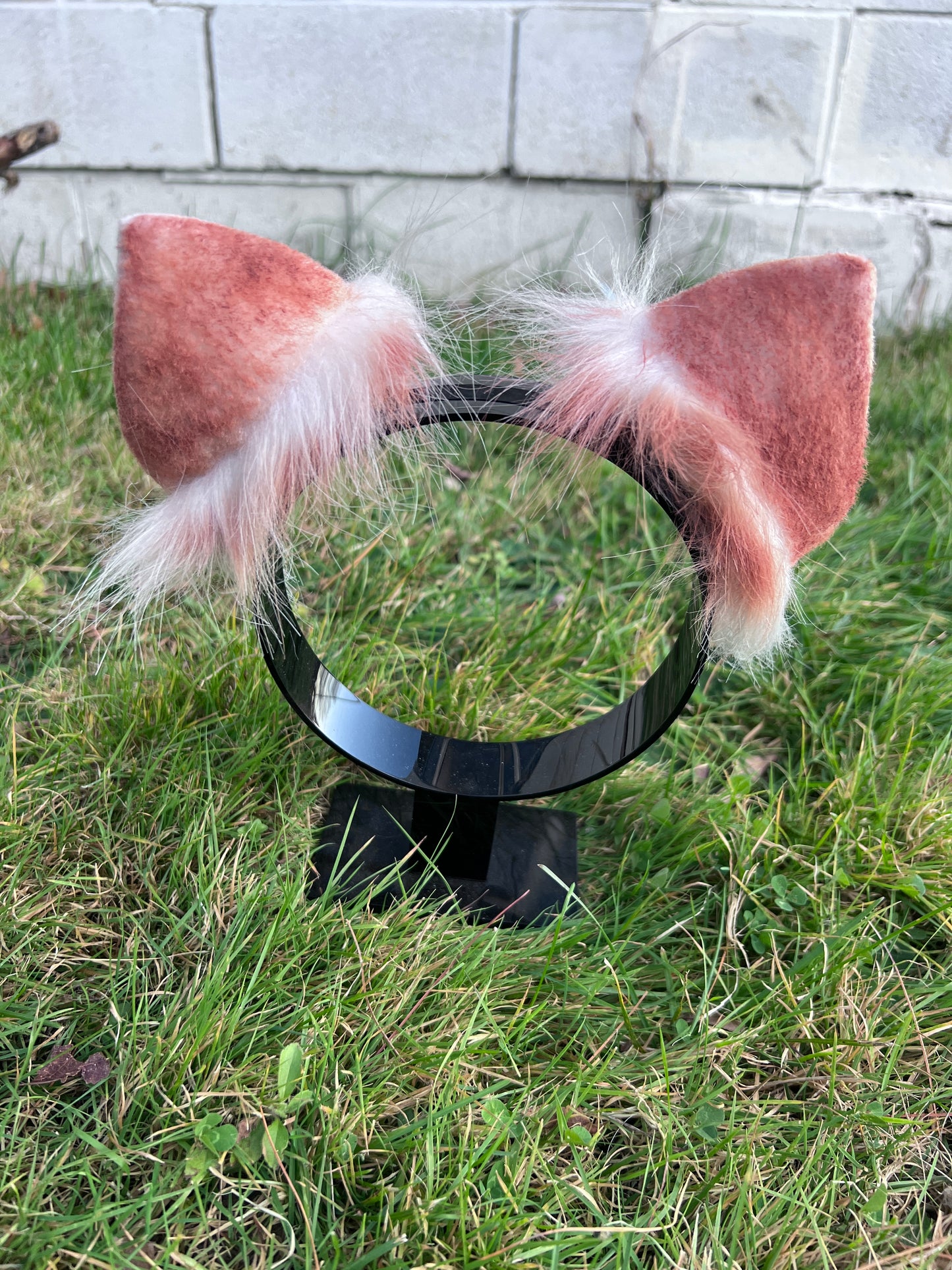 LGBTQ Agender Pride Kitten Ears