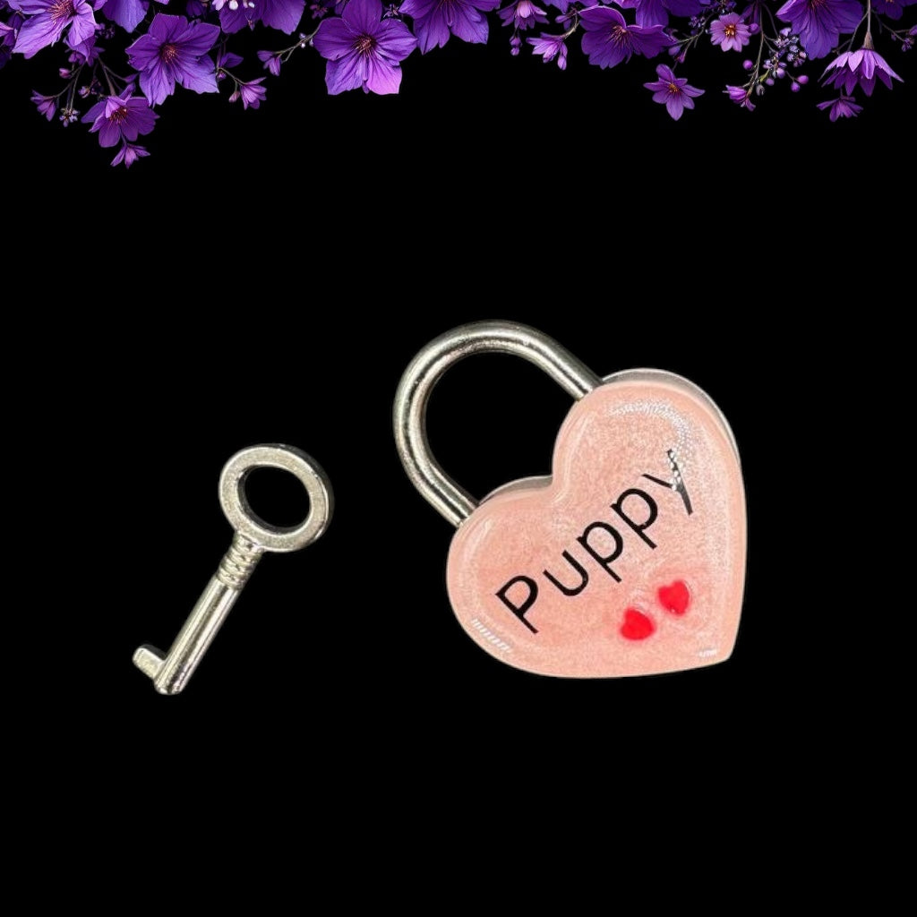 Pink Puppy Heart Pad Lock