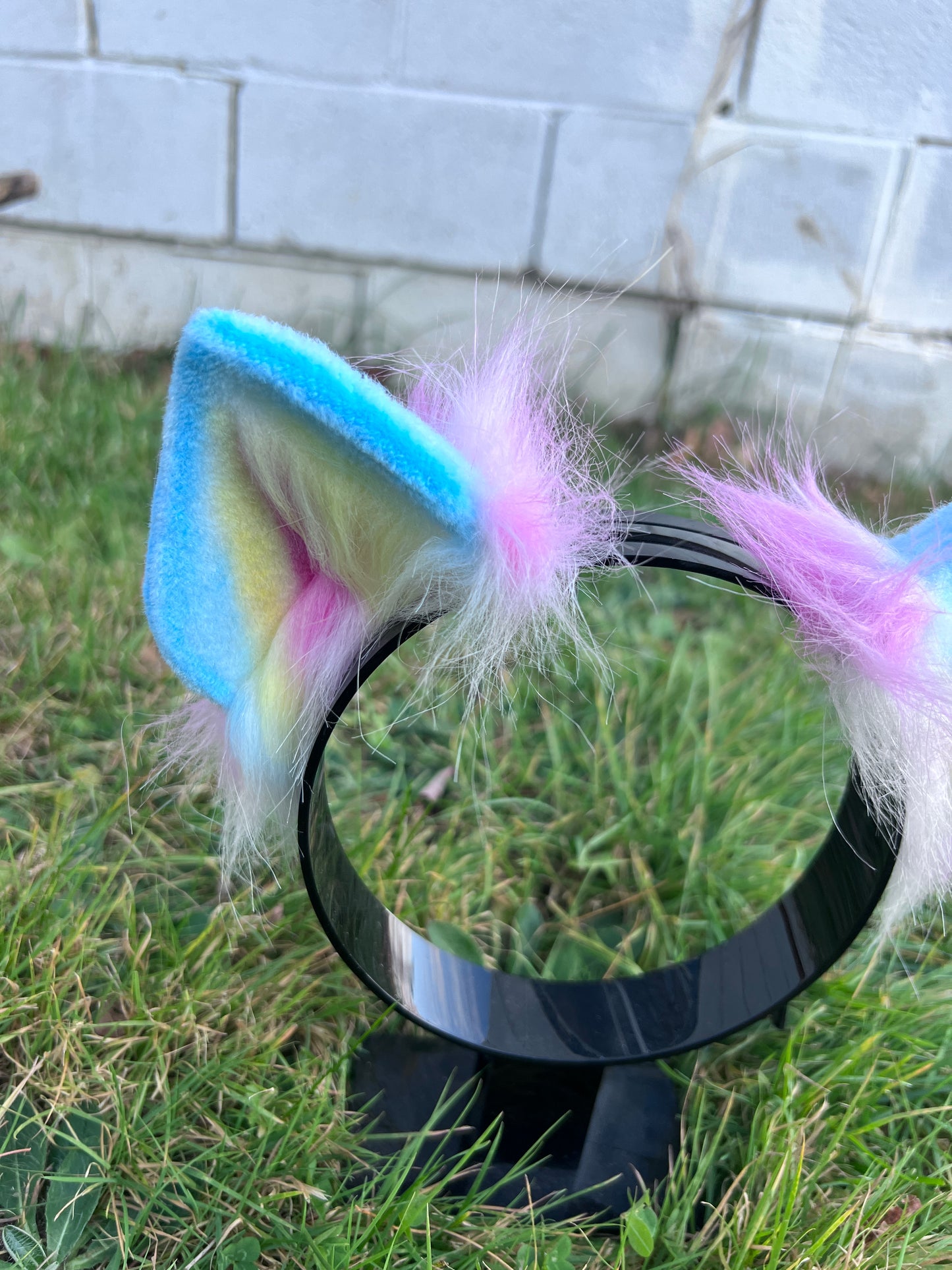 LGBTQ Pan Pride Kitten Ears