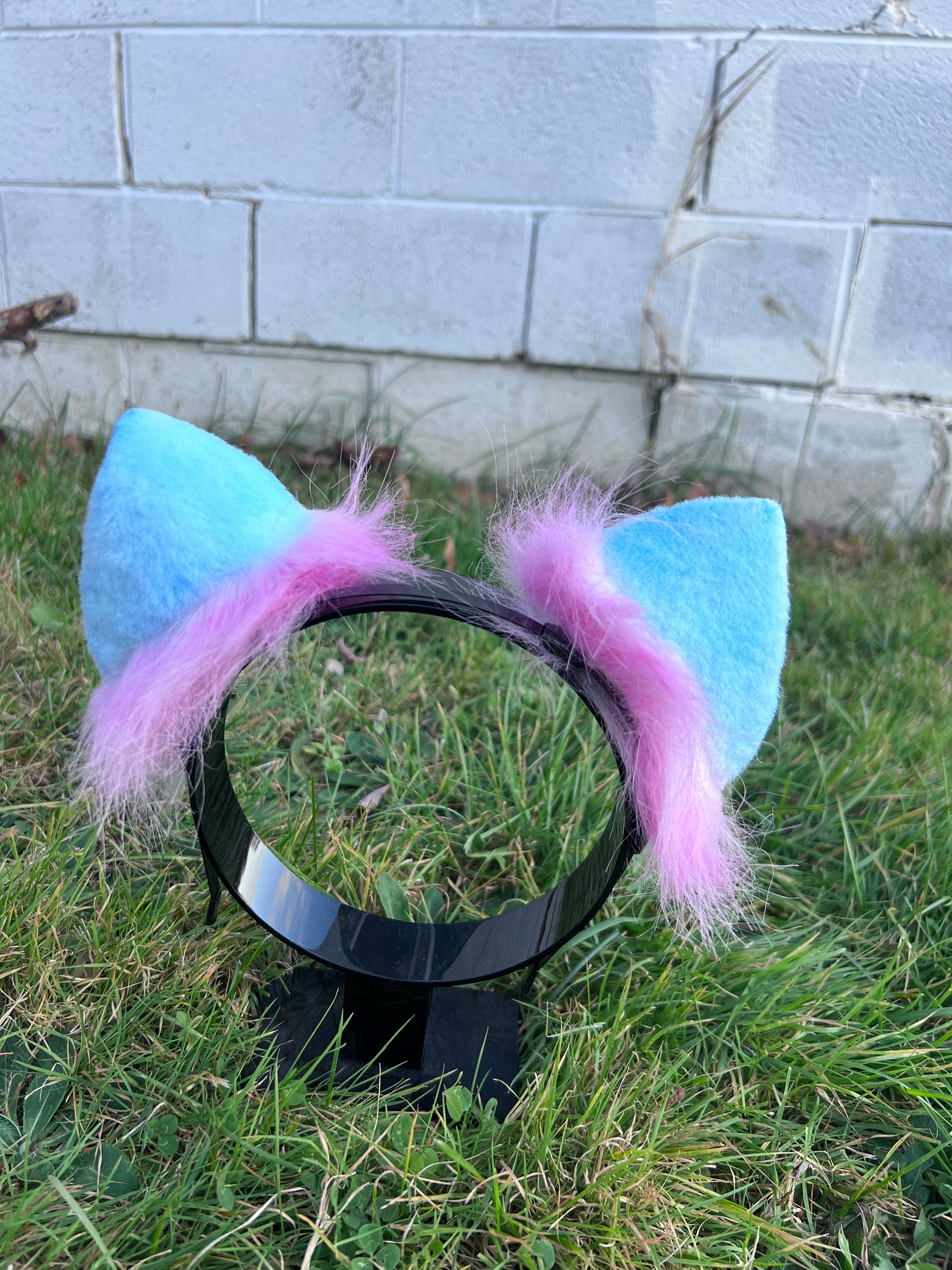 LGBTQ Pan Pride Kitten Ears