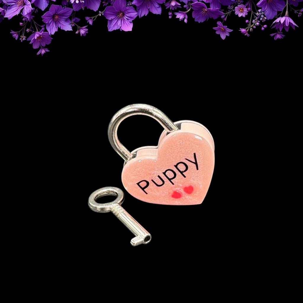 Pink Puppy Heart Pad Lock