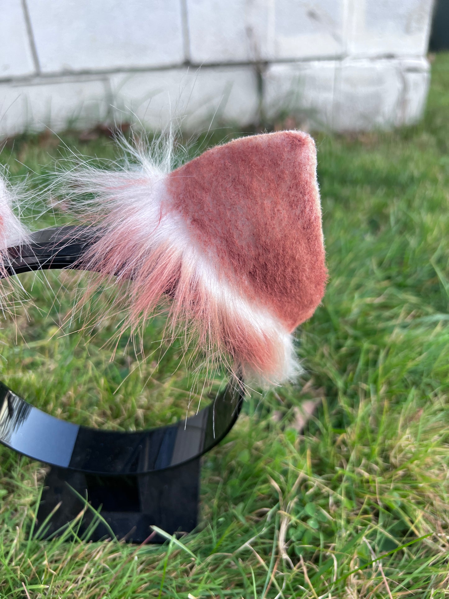LGBTQ Agender Pride Kitten Ears