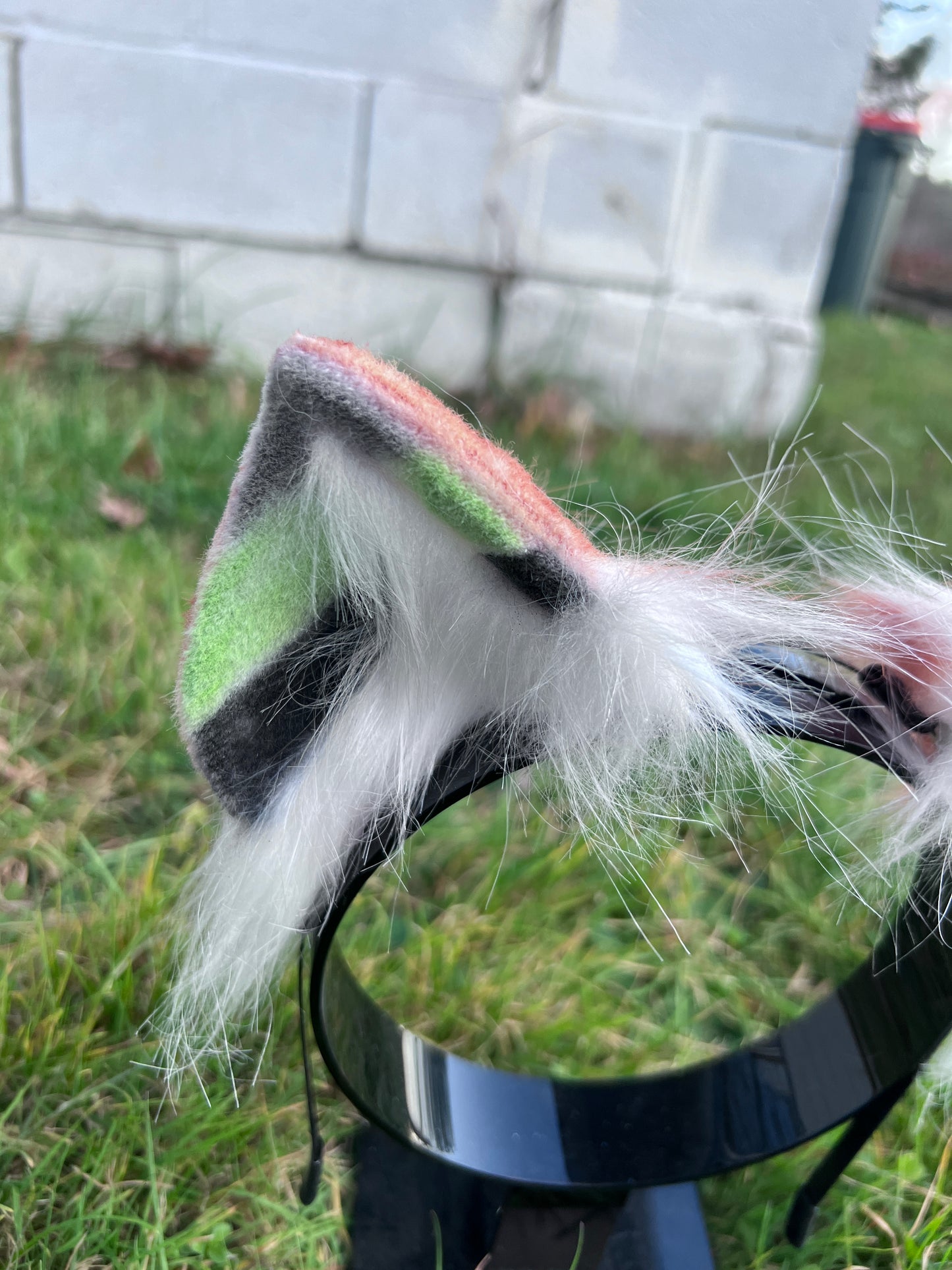 LGBTQ Agender Pride Kitten Ears
