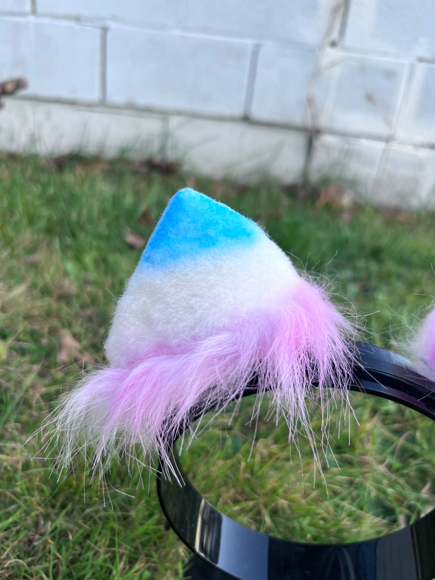LGBTQ Trans Pride Kitten Ears