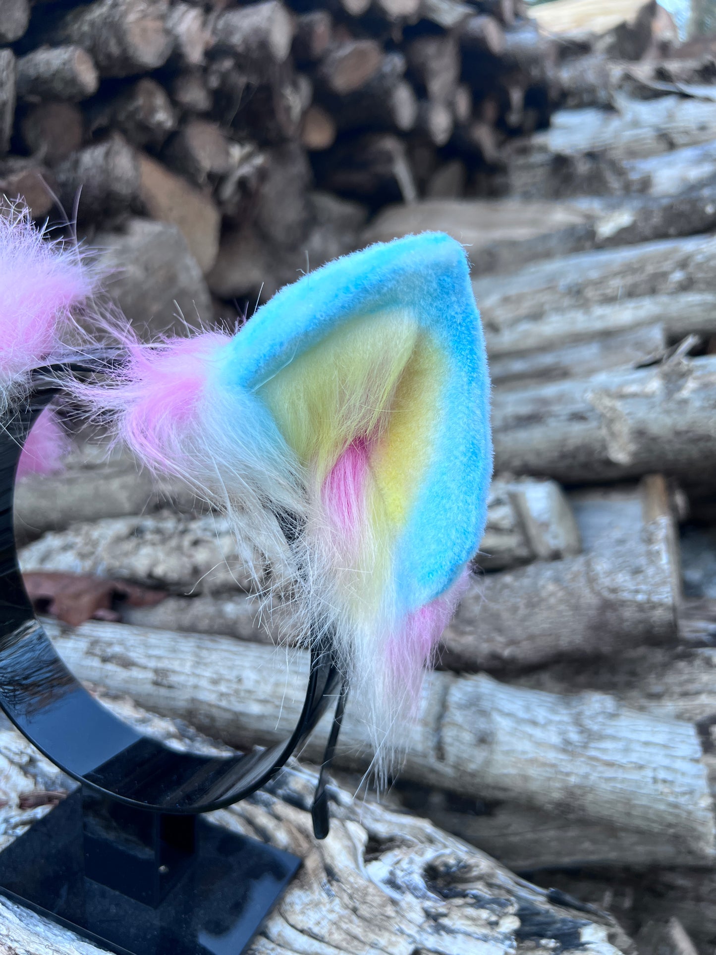 LGBTQ Pan Pride Kitten Ears