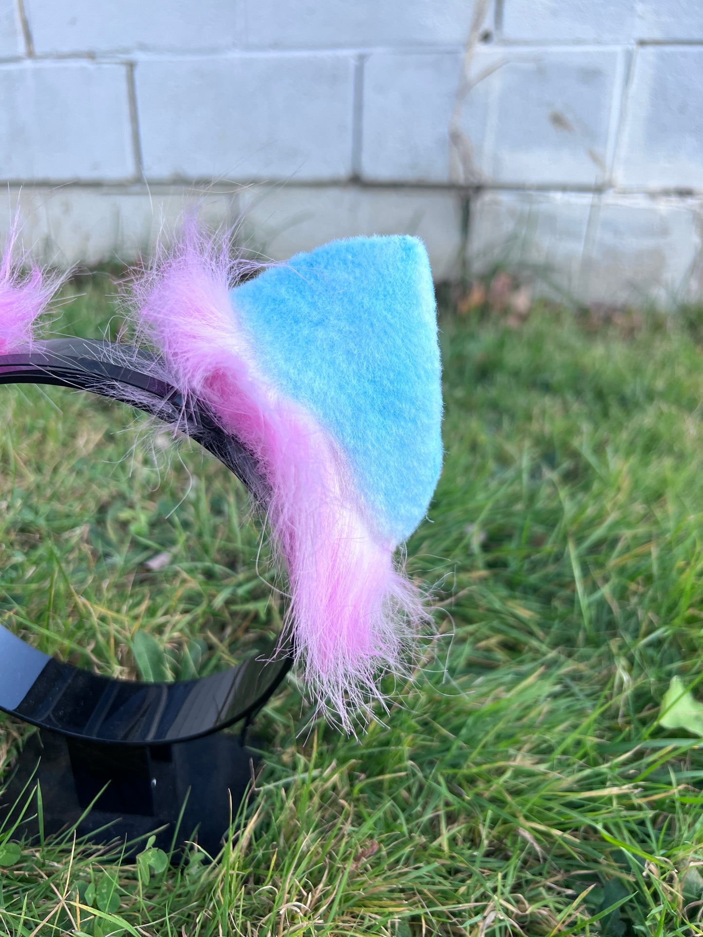 LGBTQ Pan Pride Kitten Ears