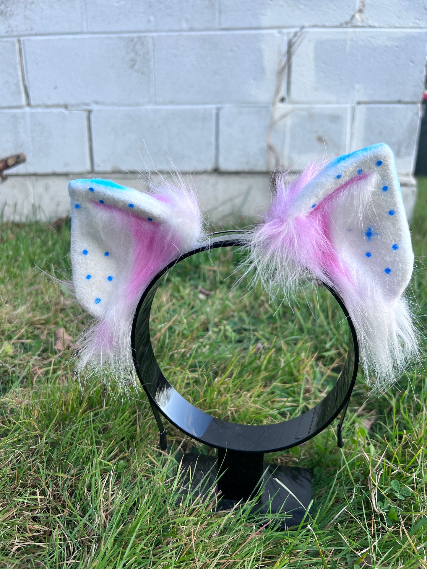 LGBTQ Trans Pride Kitten Ears
