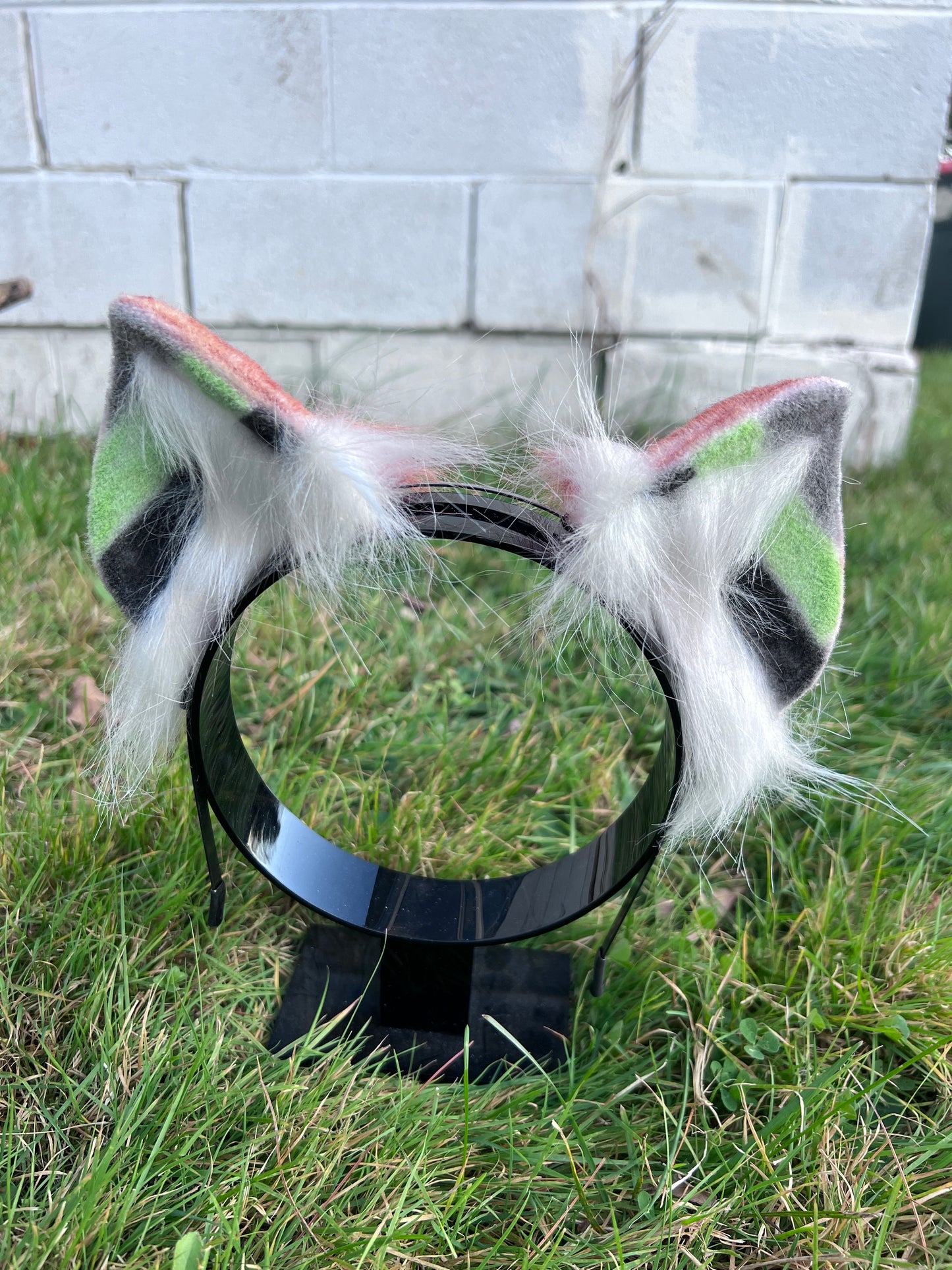LGBTQ Agender Pride Kitten Ears