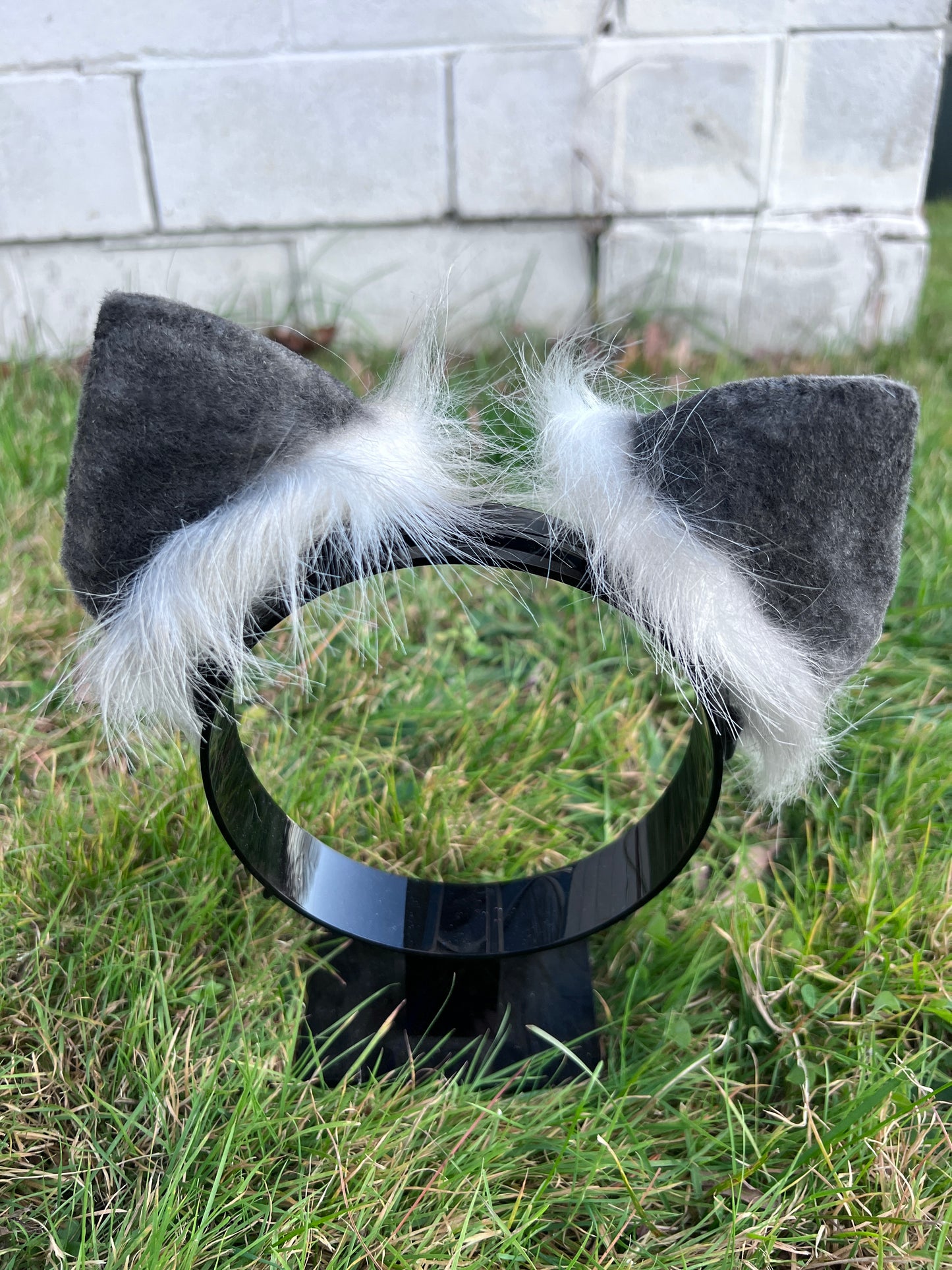 LGBTQ Bi Pride Kitten Ears