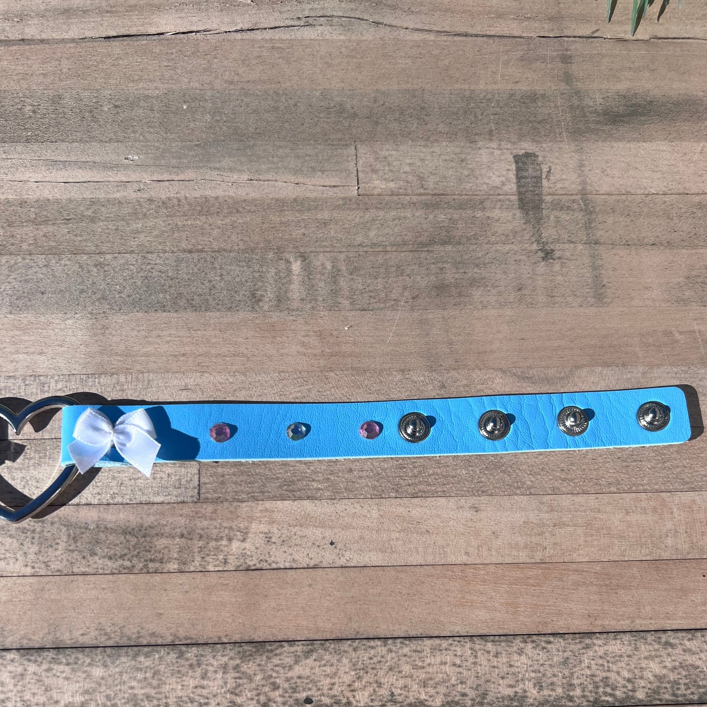 Blue Pet Play Choker Collar