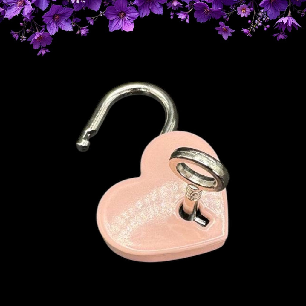 Pink Puppy Heart Pad Lock