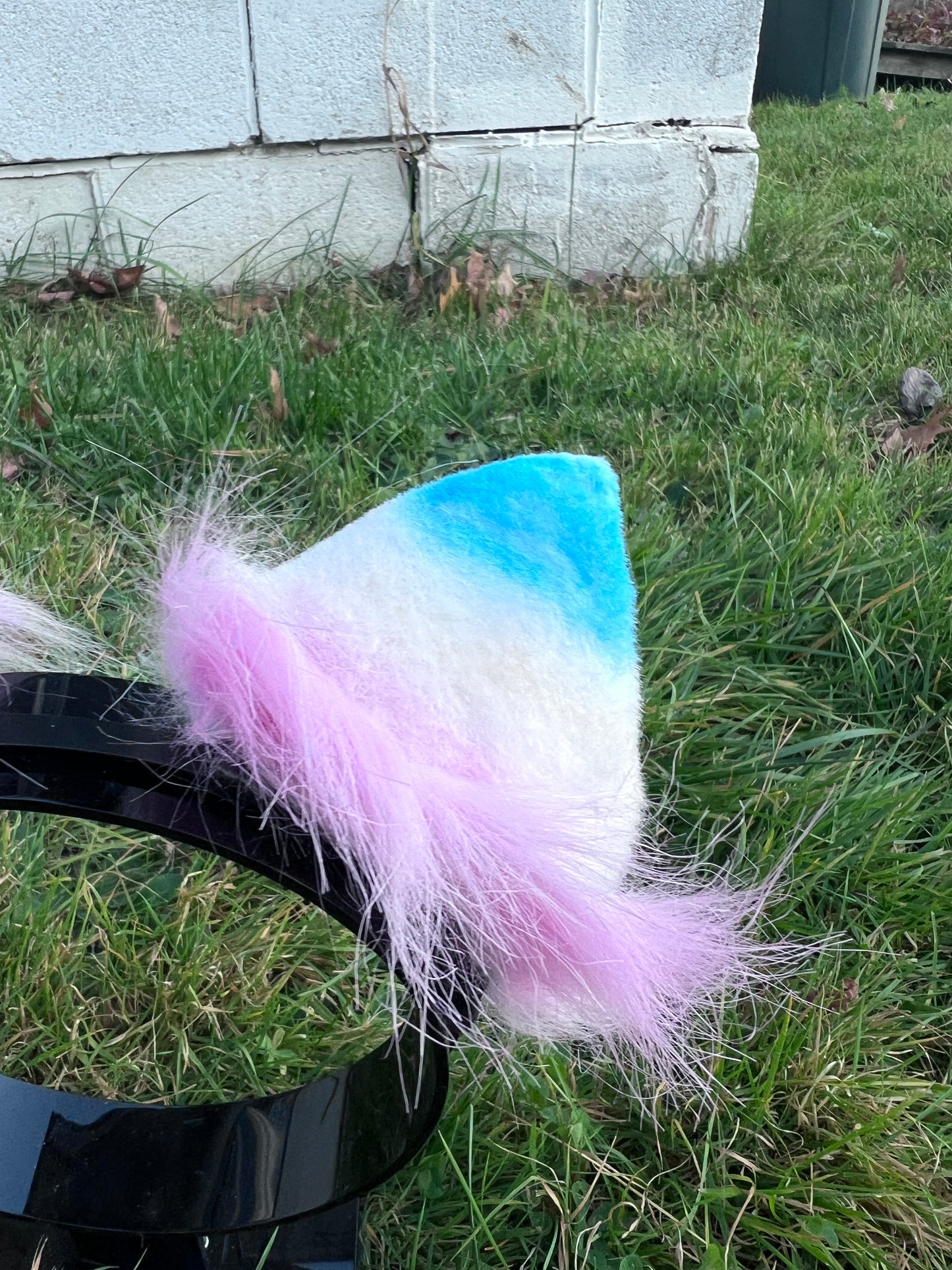 LGBTQ Trans Pride Kitten Ears