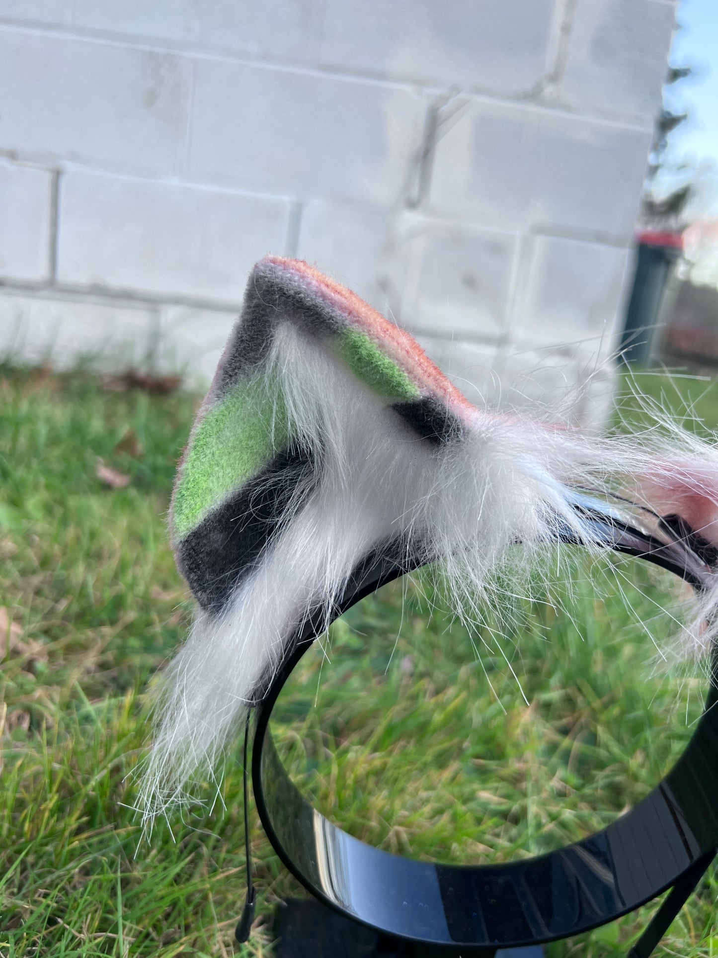 LGBTQ Agender Pride Kitten Ears