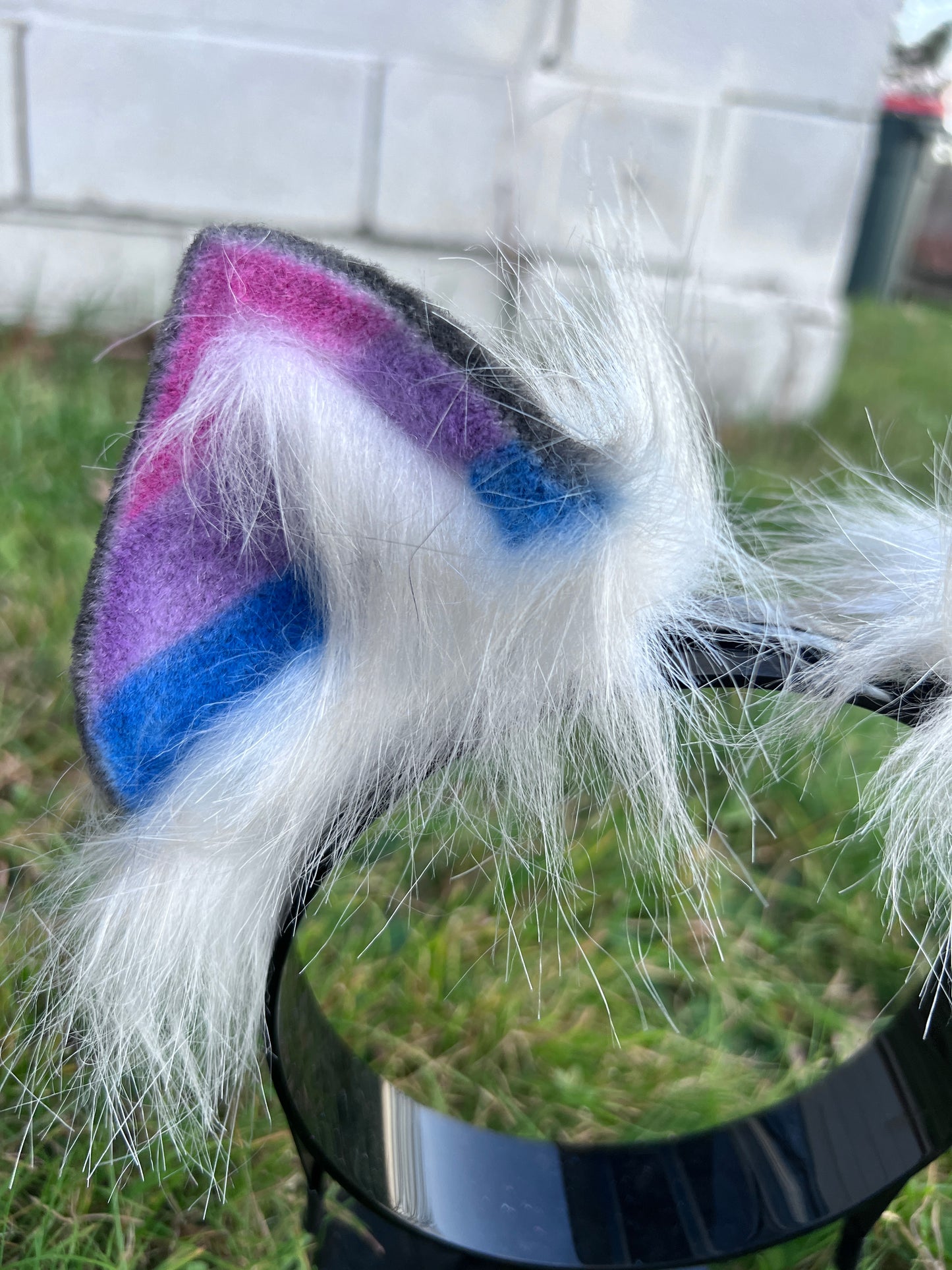 LGBTQ Bi Pride Kitten Ears
