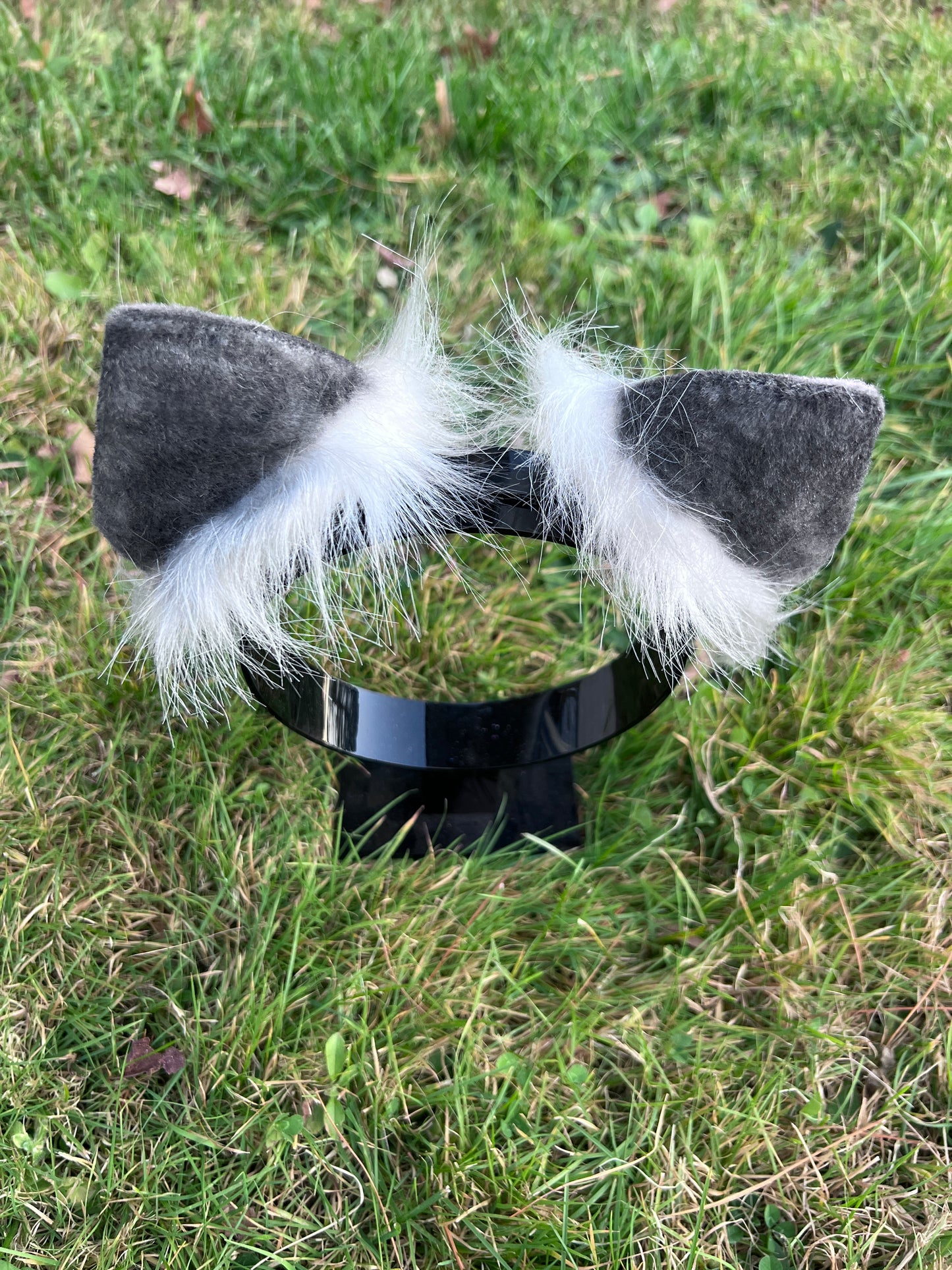LGBTQ Bi Pride Kitten Ears