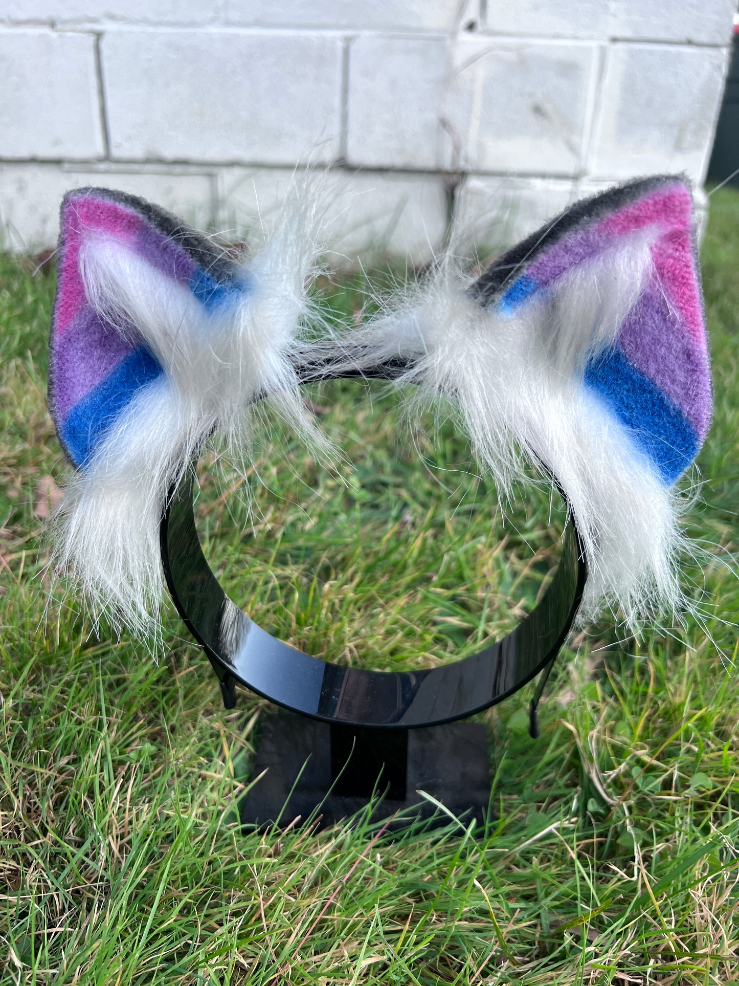 Kitten or Pony costume ears with black coloring on the back and pink, purple, and blue stripes on the front. This coloring represents bisexual flag and genderfluid flag colors.