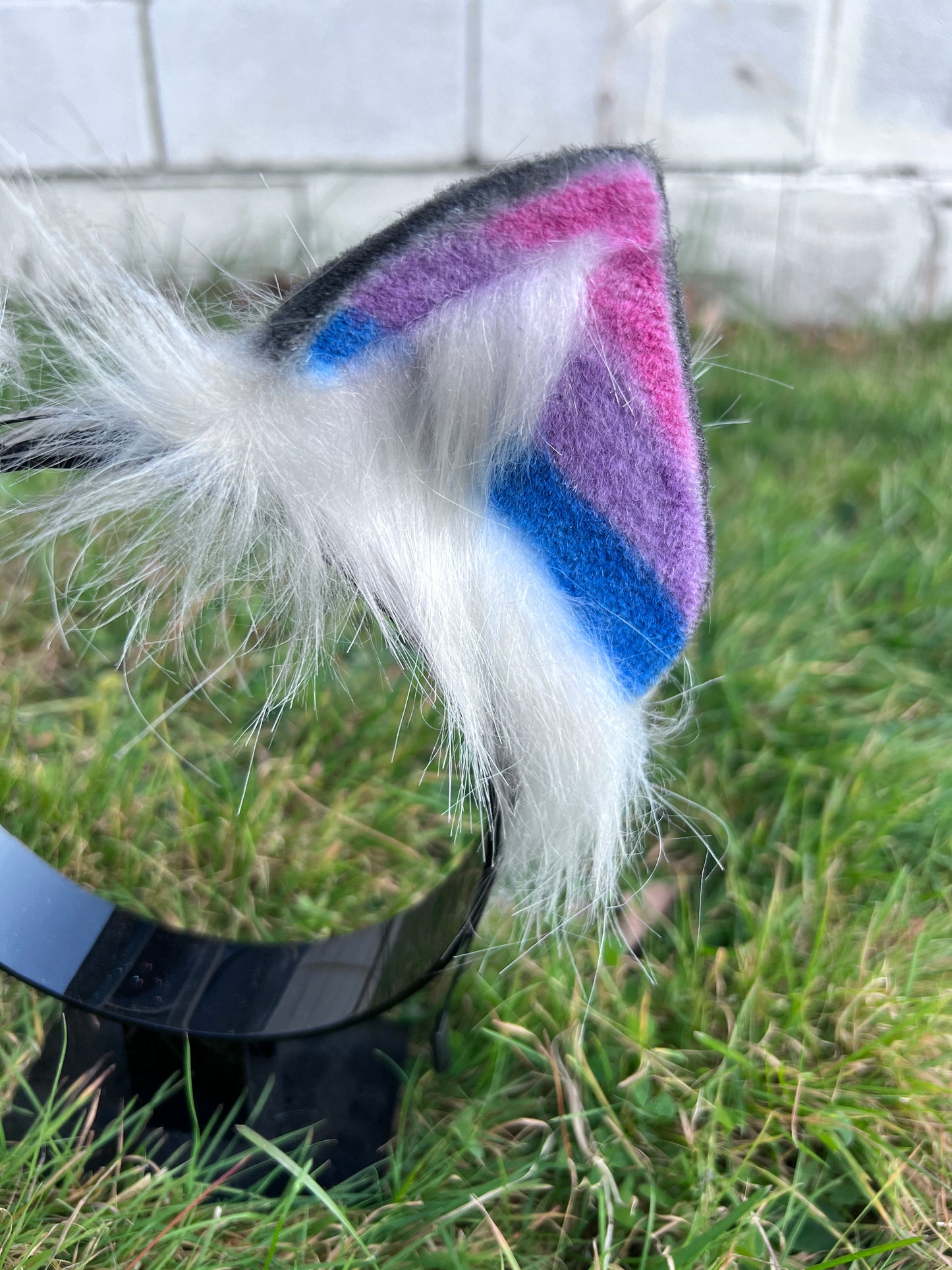 LGBTQ Bi Pride Kitten Ears