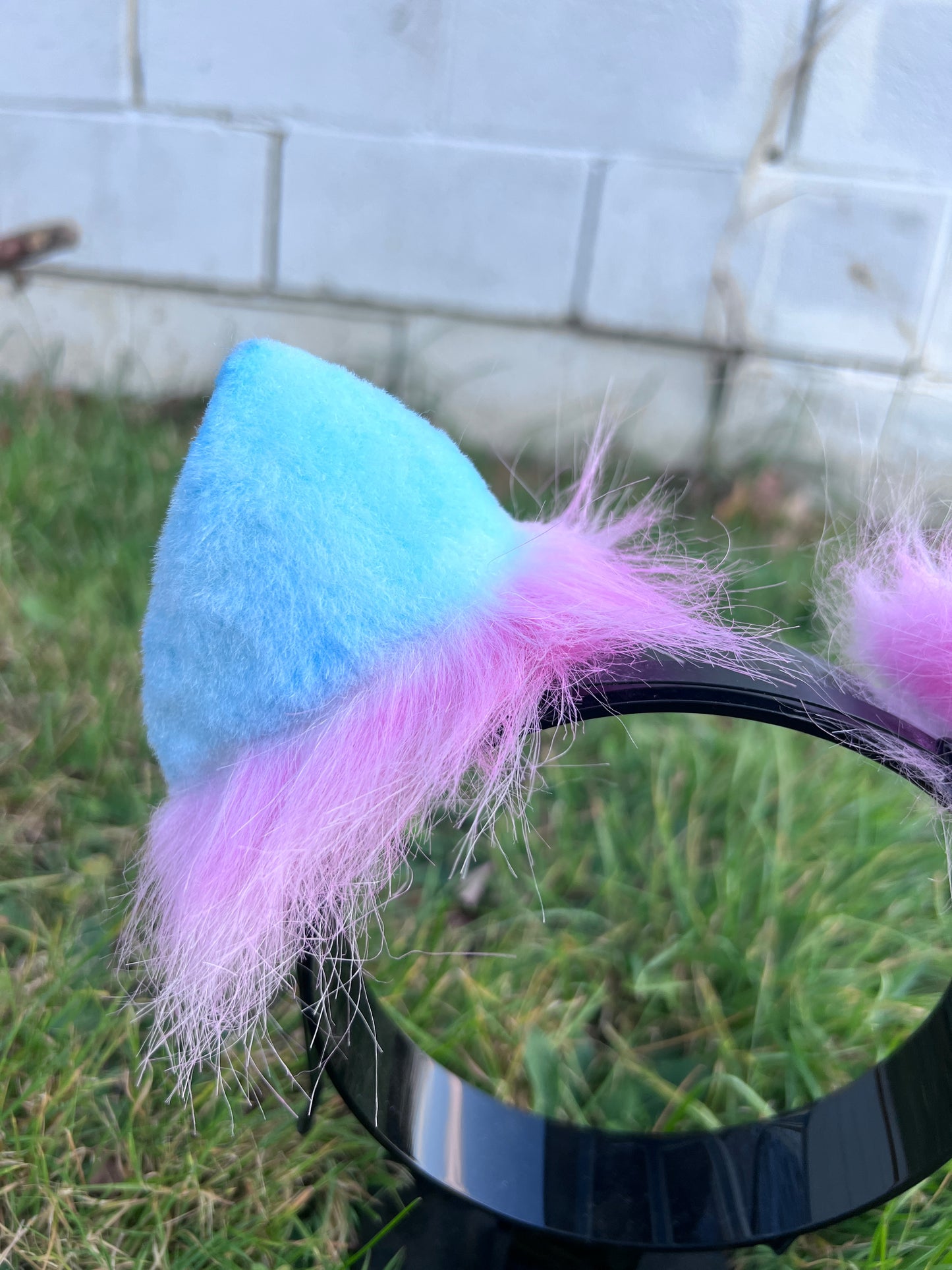 LGBTQ Pan Pride Kitten Ears