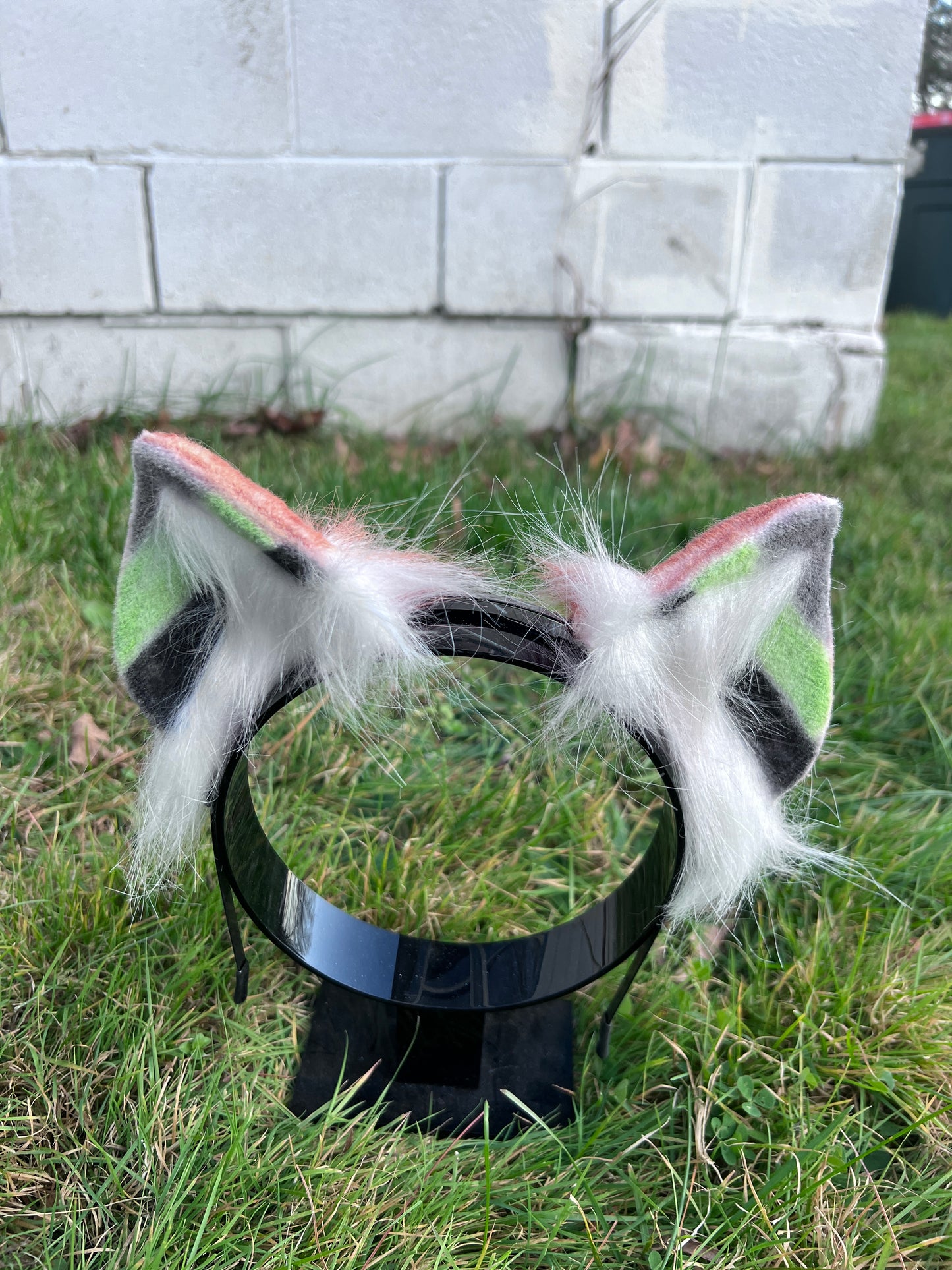 LGBTQ Agender Pride Kitten Ears