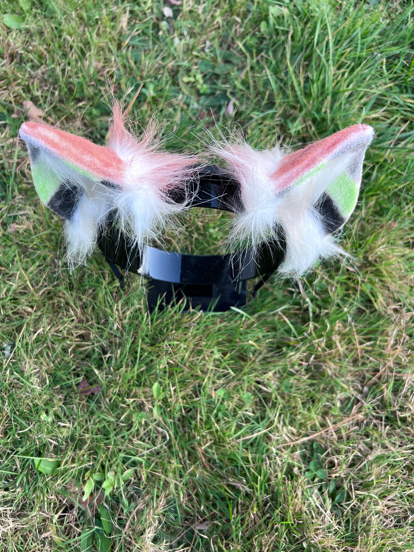 LGBTQ Agender Pride Kitten Ears