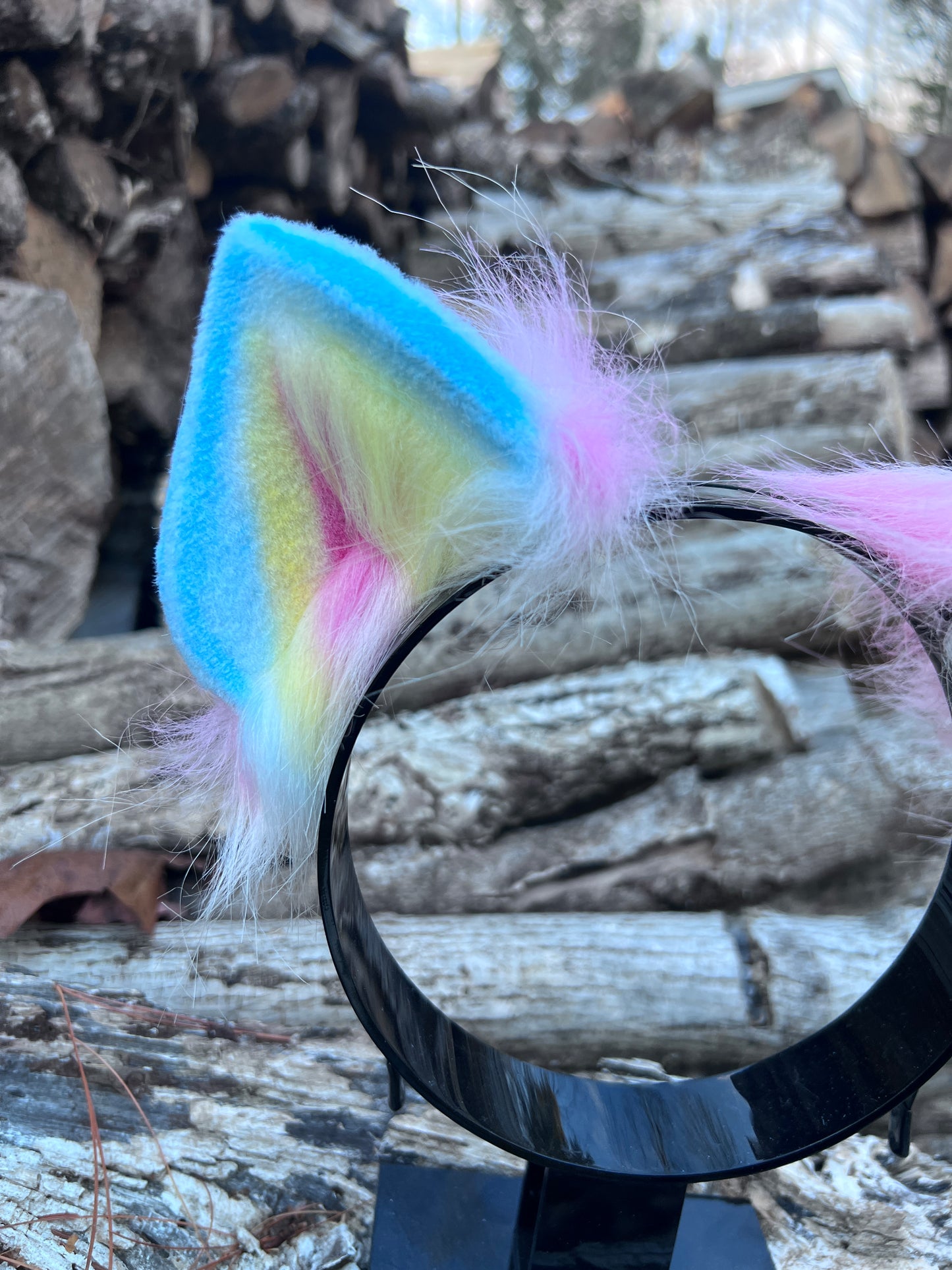 LGBTQ Pan Pride Kitten Ears