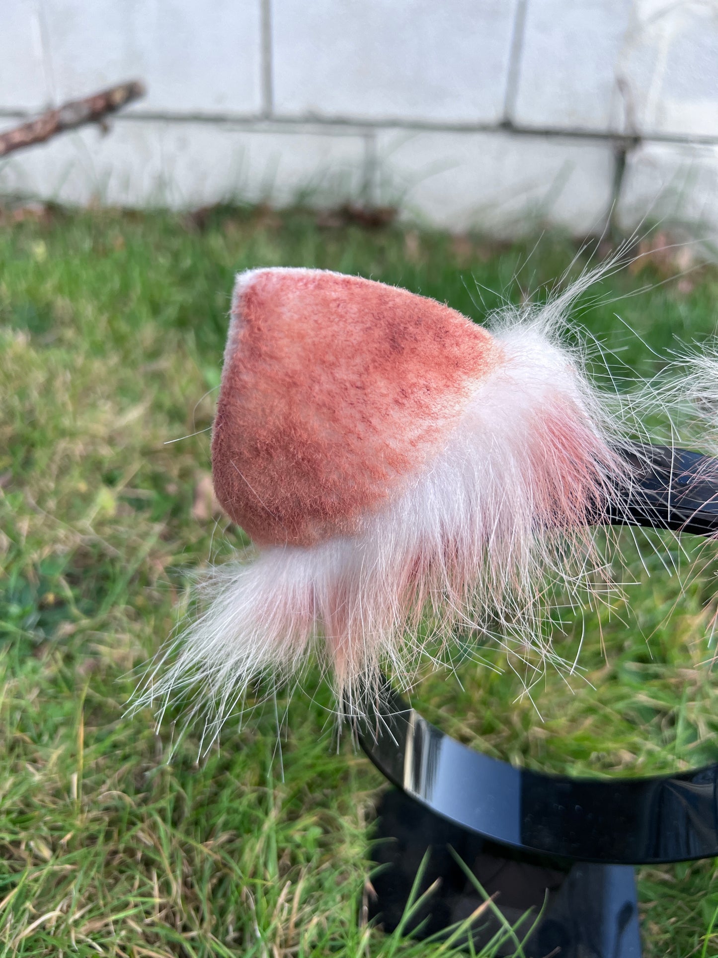 LGBTQ Agender Pride Kitten Ears
