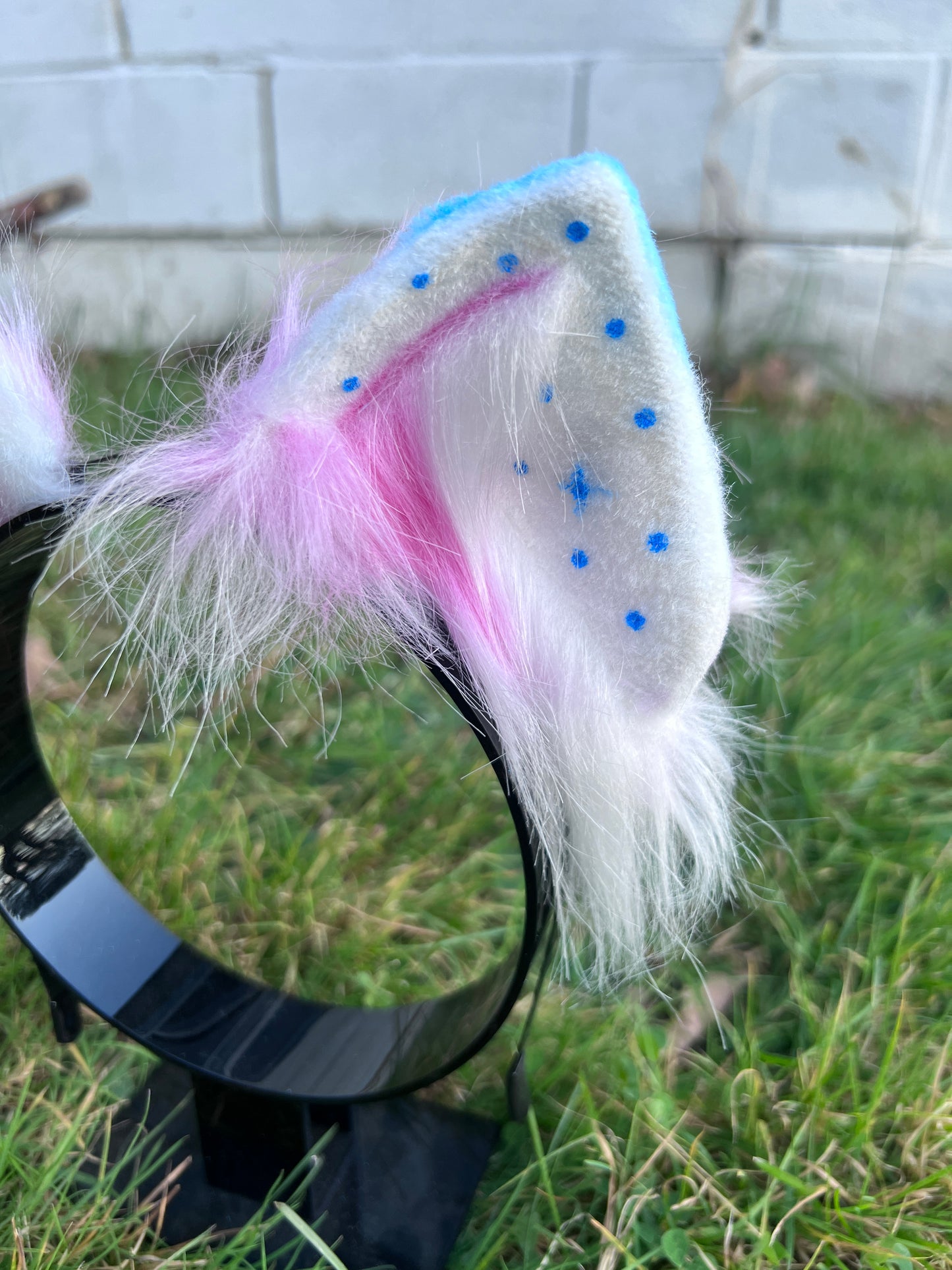 LGBTQ Trans Pride Kitten Ears