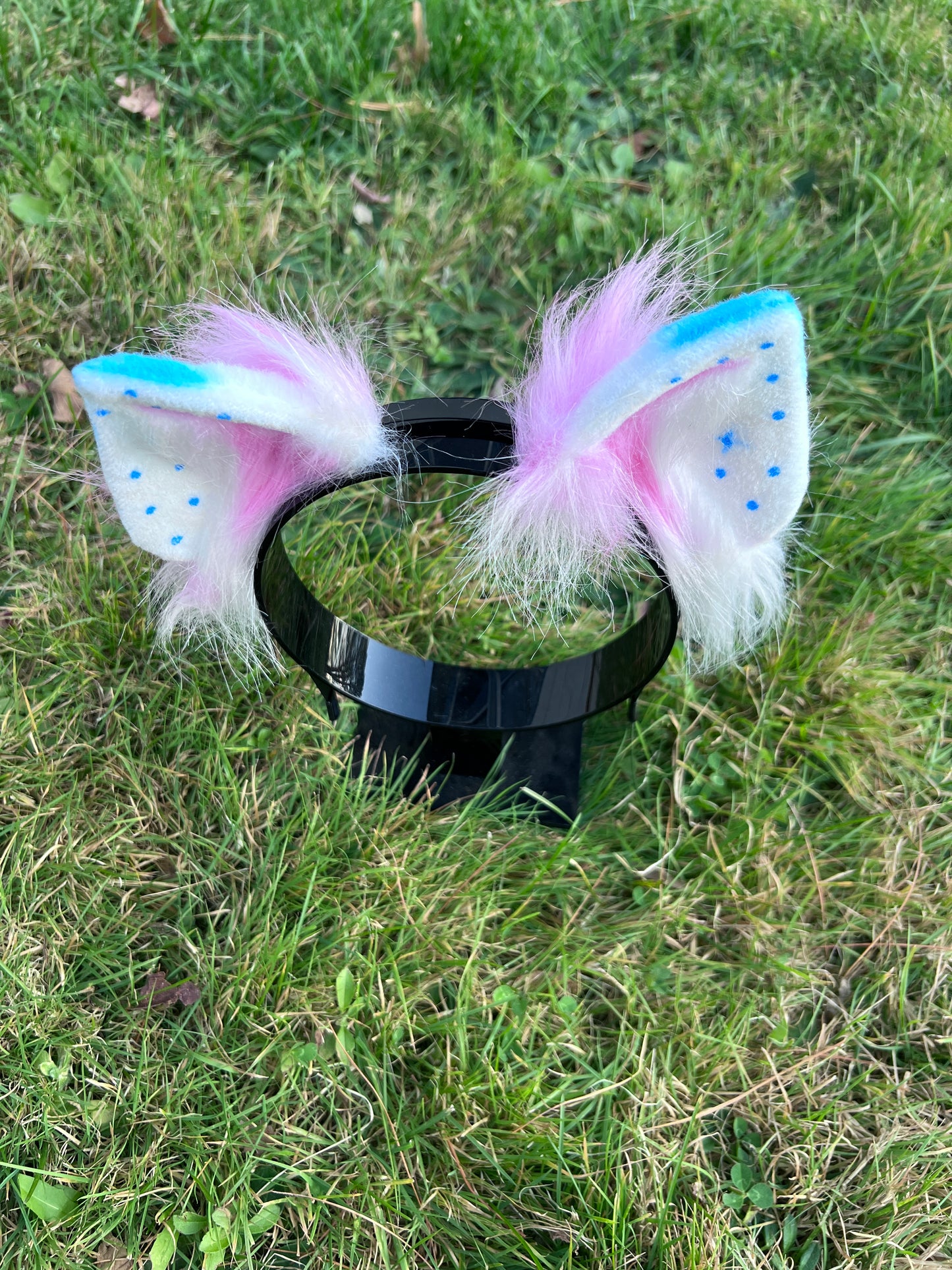 LGBTQ Trans Pride Kitten Ears