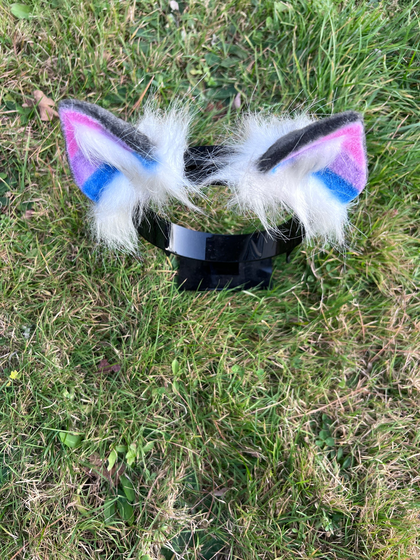 LGBTQ Bi Pride Kitten Ears