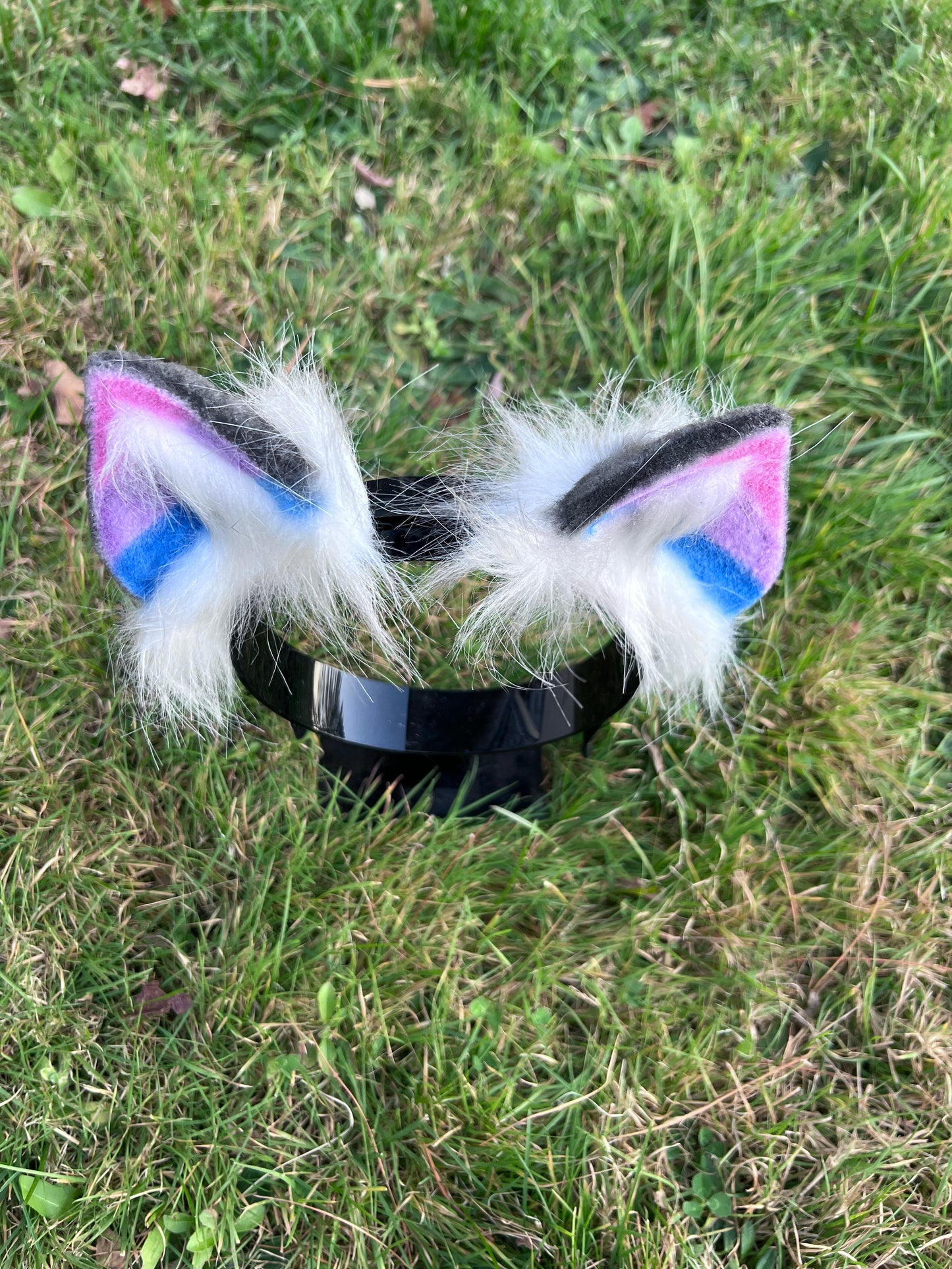 LGBTQ Bi Pride Kitten Ears
