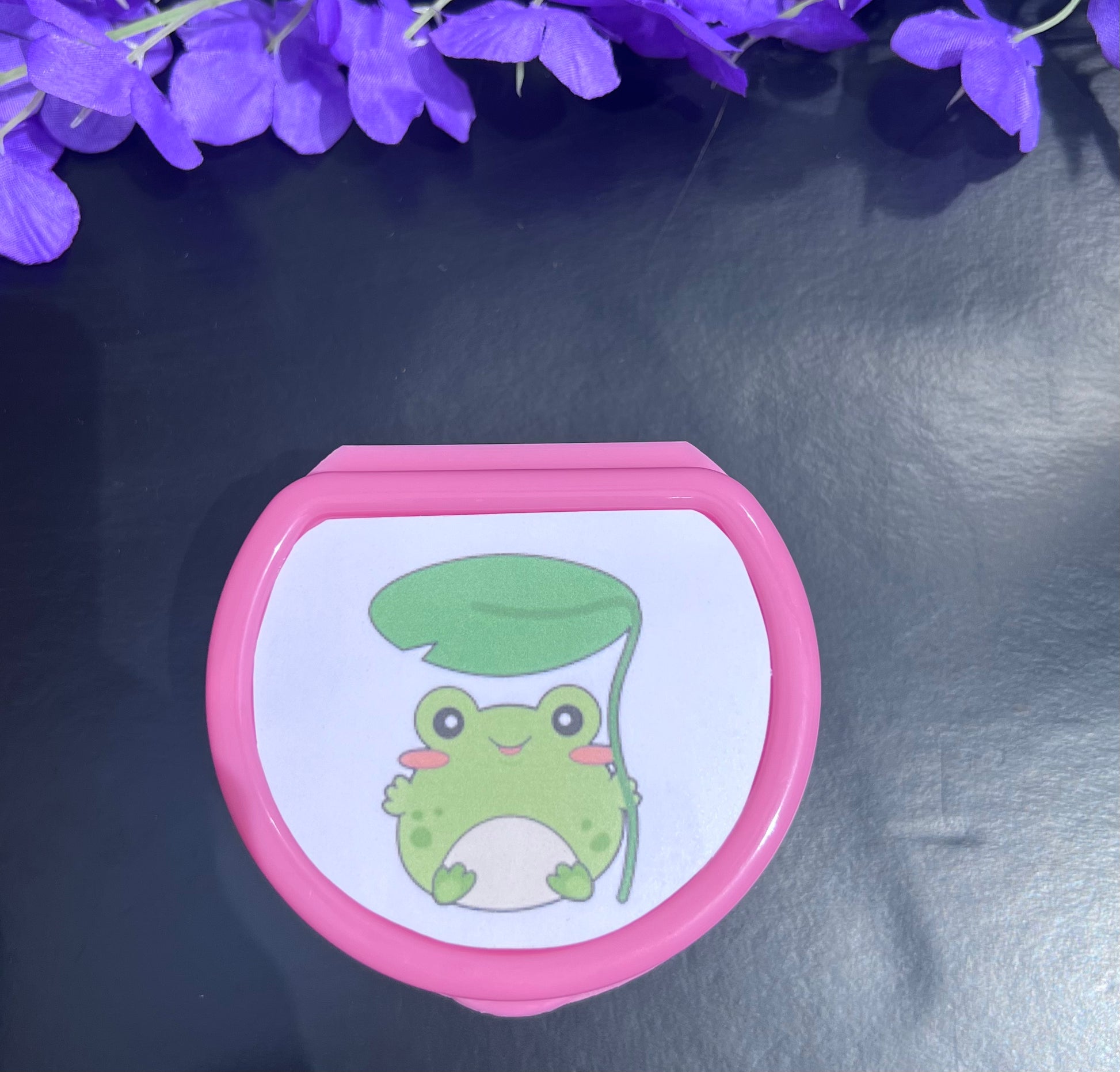 Frog-themed adult pacifier case featuring a cute green frog image, perfect for storing and protecting pacifiers with a playful touch.