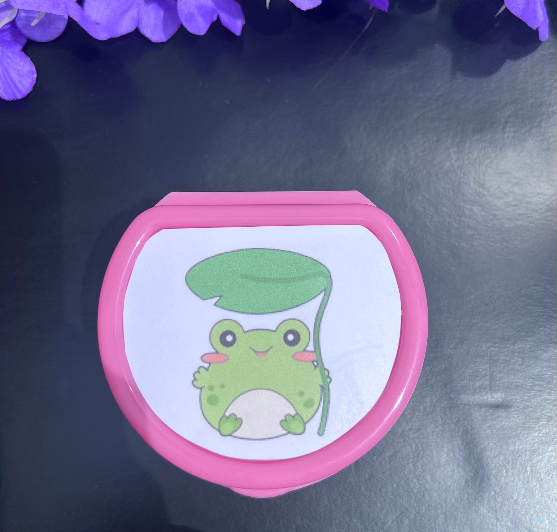 Frog-themed adult pacifier case featuring a cute green frog image, perfect for storing and protecting pacifiers with a playful touch.