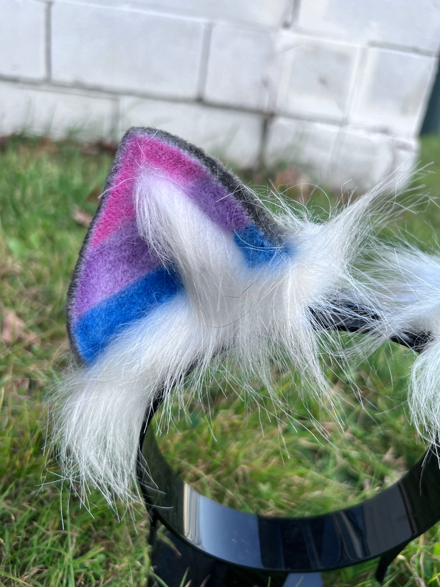 LGBTQ Bi Pride Kitten Ears