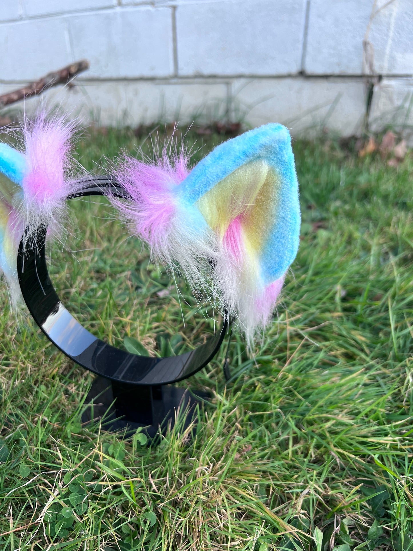 LGBTQ Pan Pride Kitten Ears