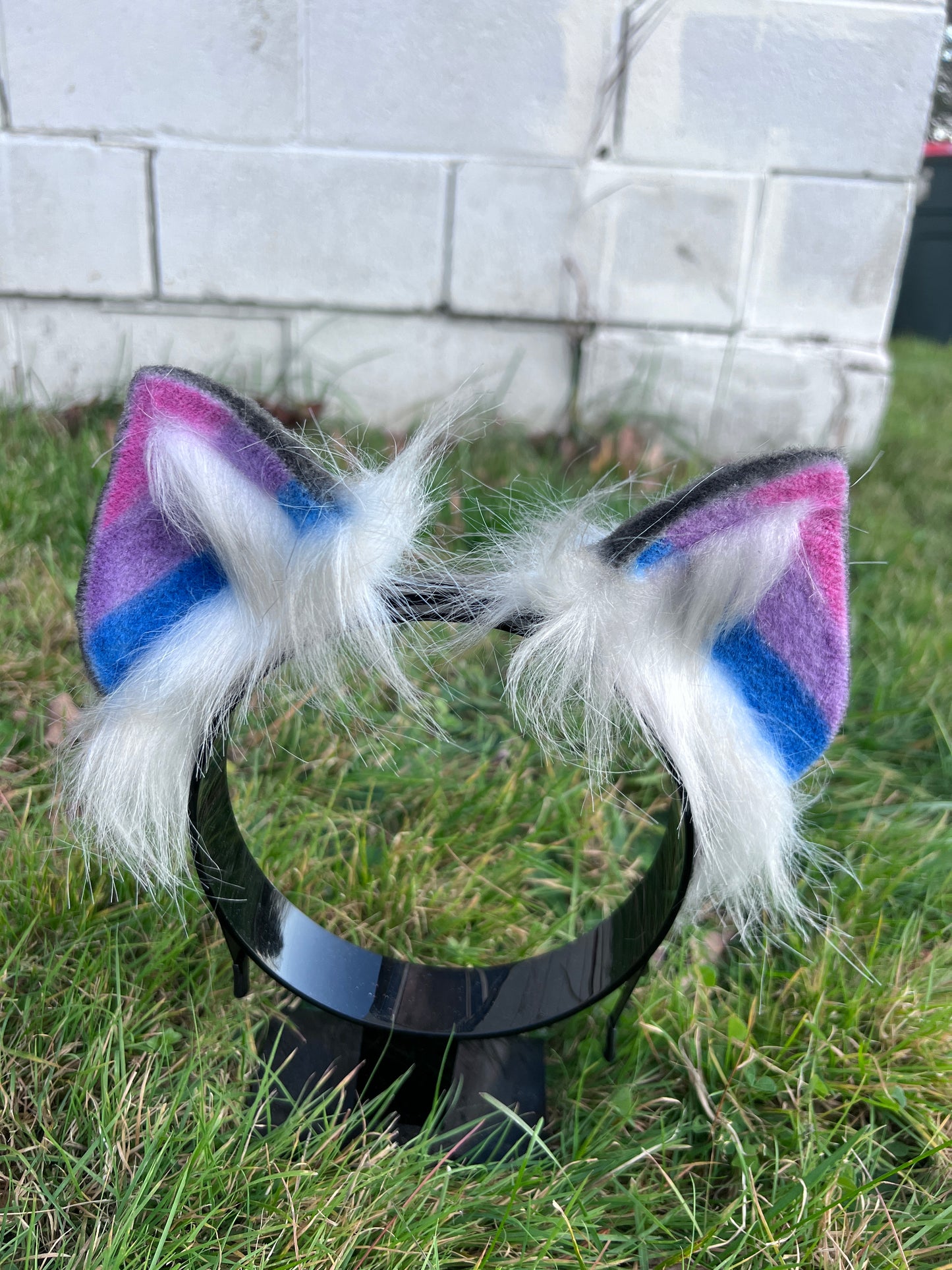 LGBTQ Bi Pride Kitten Ears