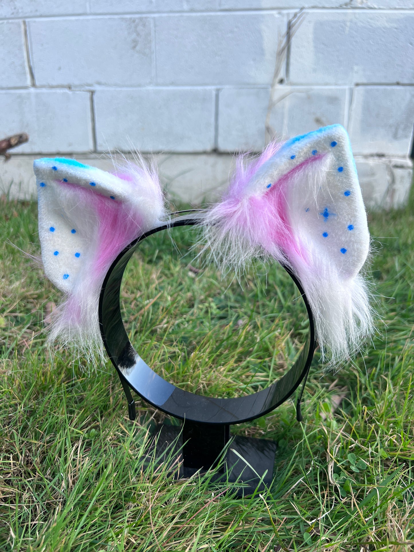 LGBTQ Trans Pride Kitten Ears