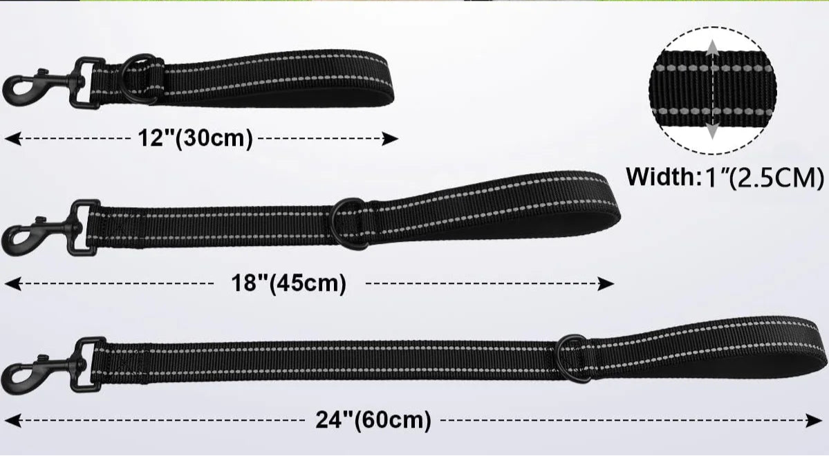 Short BDSM Pet Play Leash