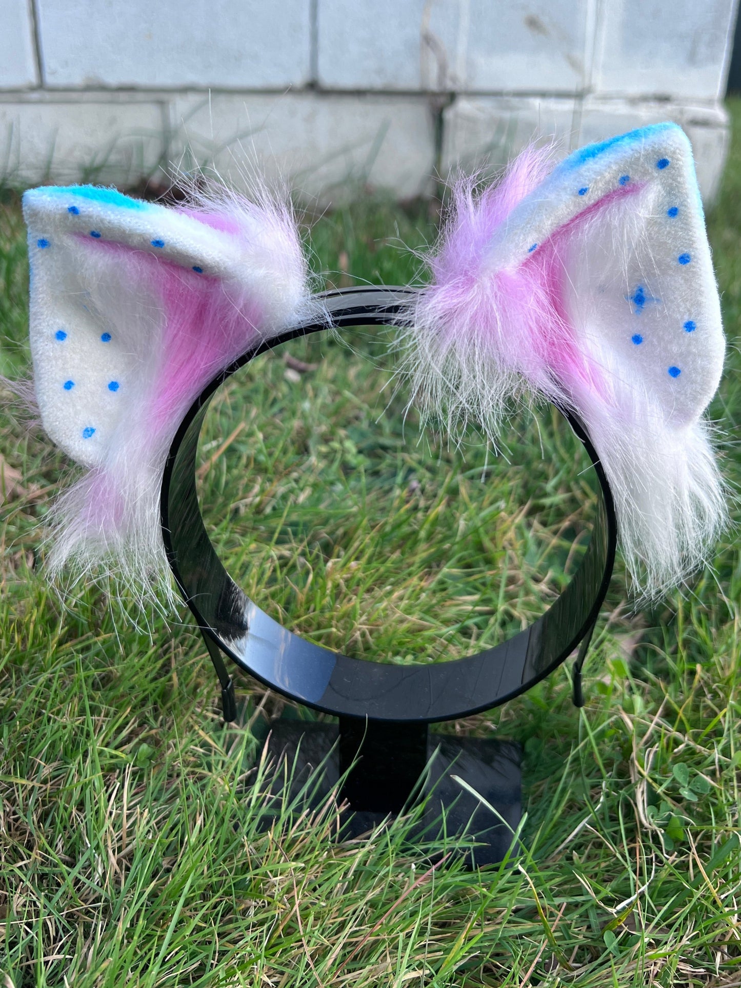 kitten cosplay ears that are trans pride colors. White ears with pink accents on front and blue polka dots. On the back is stripes of blue, white and pink making the trans flag.