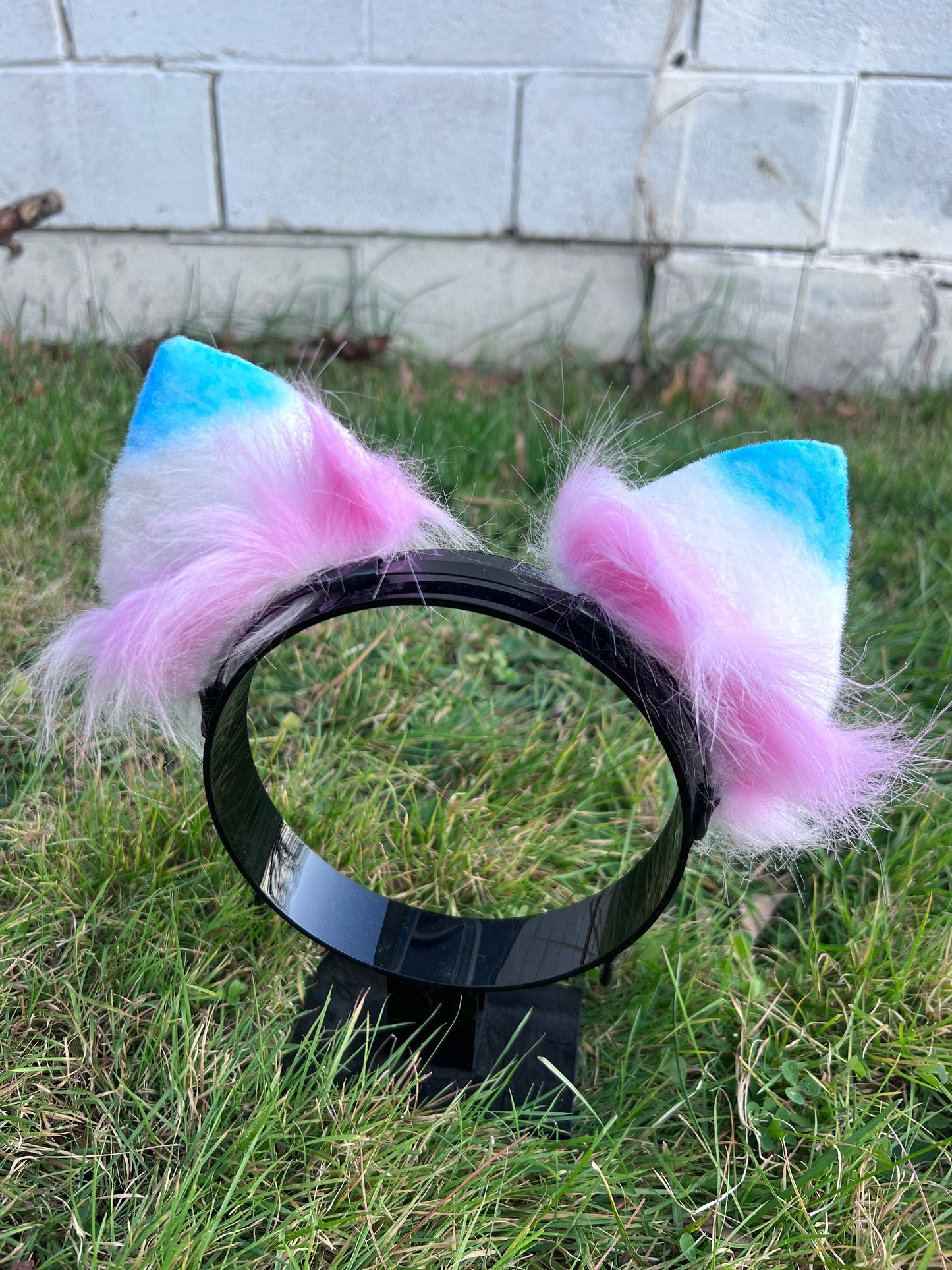 LGBTQ Trans Pride Kitten Ears