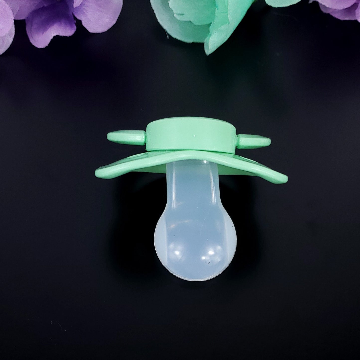 Turtle Adult Pacifier