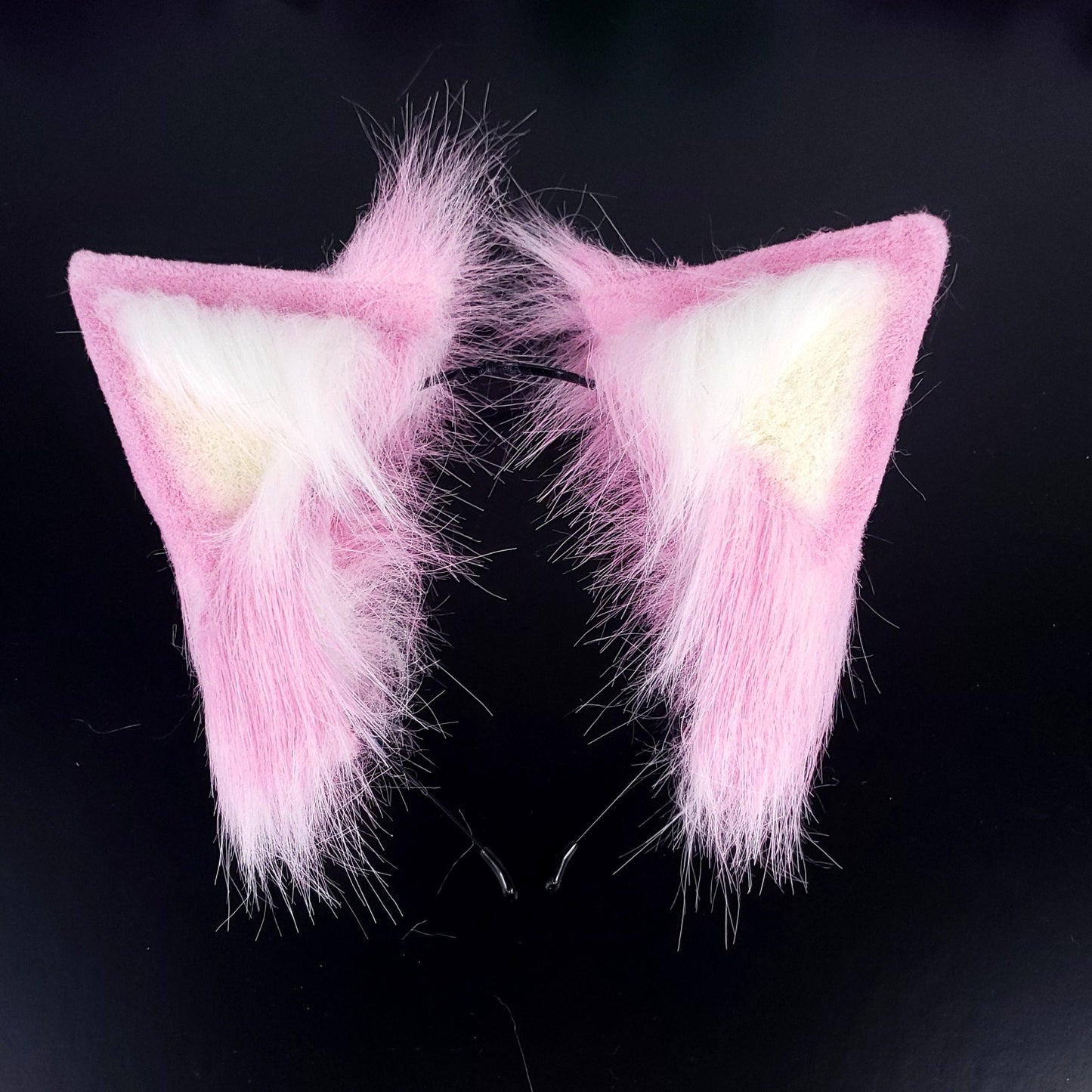 Baby Pink Puppy Ears