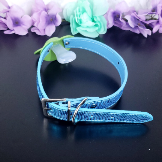 Baby Boy Pacifier Gag