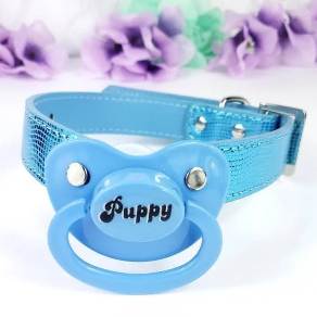 Puppy Pacifier Gag
