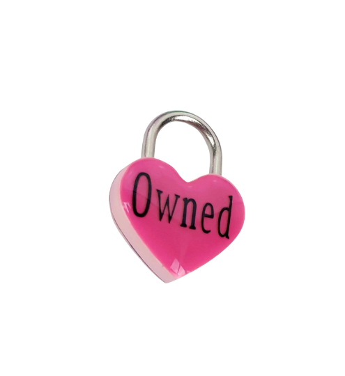 Owned Heart Lock