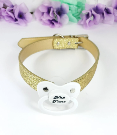 Nap Time Pacifier Gag