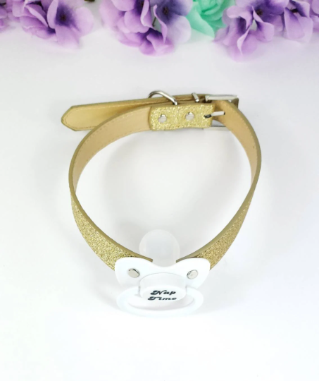 Nap Time Pacifier Gag
