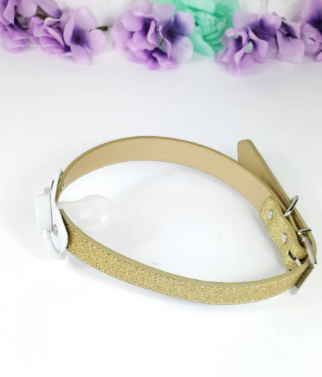 Nap Time Pacifier Gag