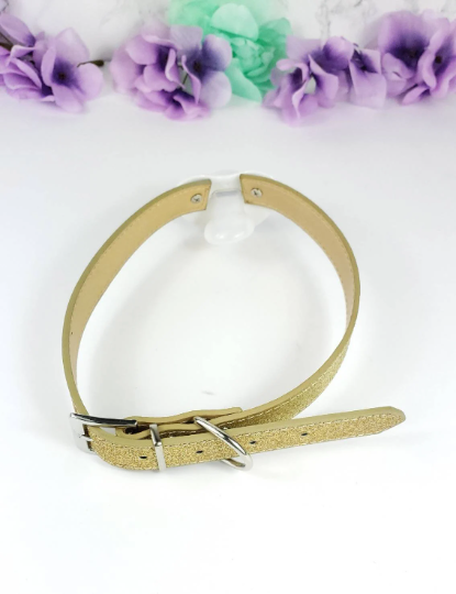 Nap Time Pacifier Gag