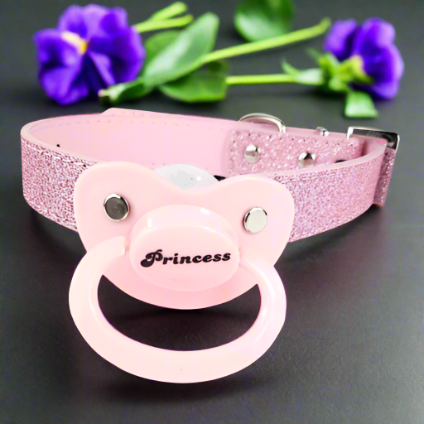 Princess Pacifier Gag